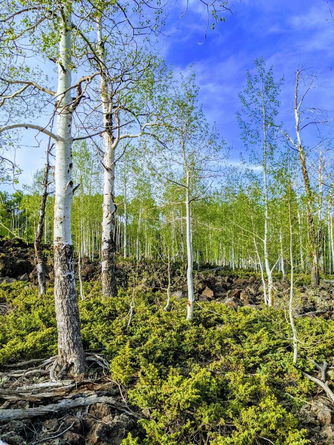 Pinewoods Resort And Rv Park Duck Creek Village エクステリア 写真